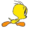 Gif Titi court